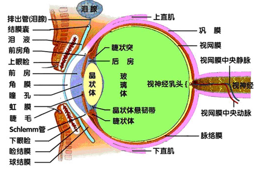 微信圖片_20220520164315.png