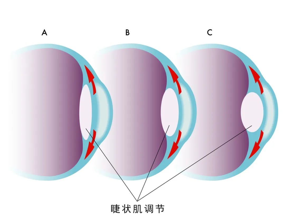 微信圖片_20220520164329.jpg